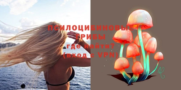 ECSTASY Алексин