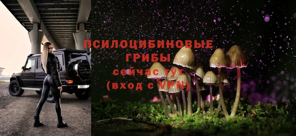 дмт Алексеевка