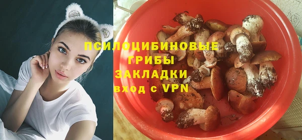 спиды Алзамай