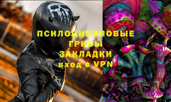 спиды Алзамай