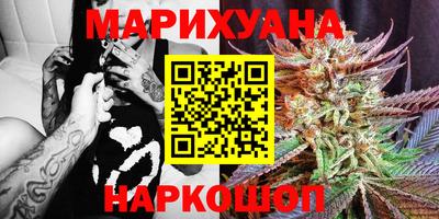 трава Кингисепп