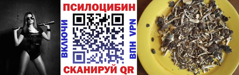 наркошоп Сосновоборск Галлюциногенные грибы Magic Shrooms