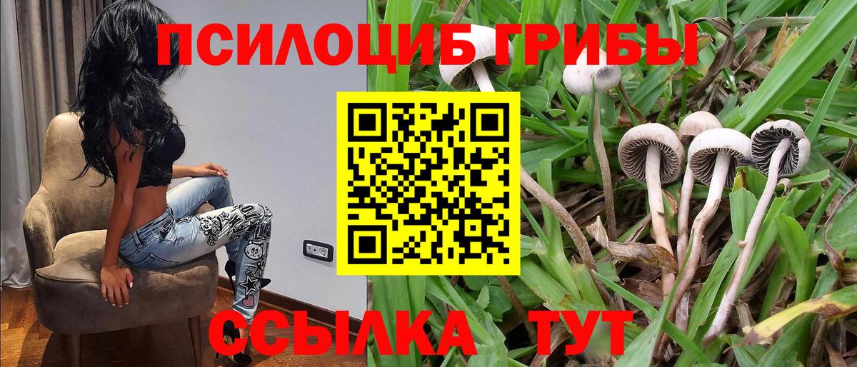 Галлюциногенные грибы мицелий Сосновоборск